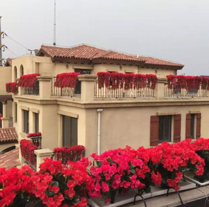 Guirlande de Fleurs Violettes Artificielles™